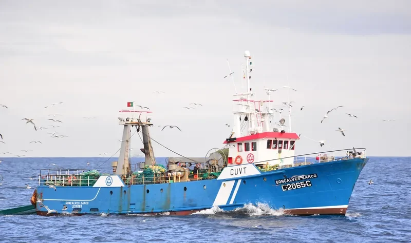 GONCALVES ZARCO Fishing Vessel IMO 7507722 photo 10