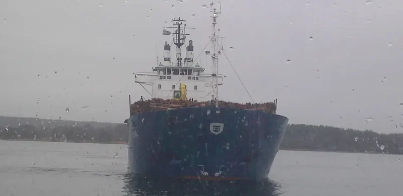 LINE General Cargo Vessel IMO 7508271 photo 8