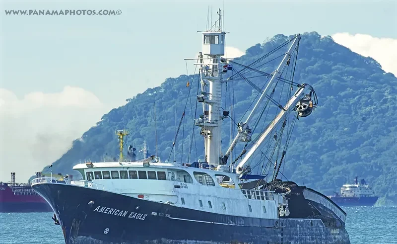 AMERICAN EAGLE General Cargo IMO 7508910