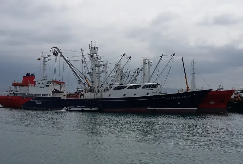 AMERICAN EAGLE General Cargo IMO 7508910 photo 3