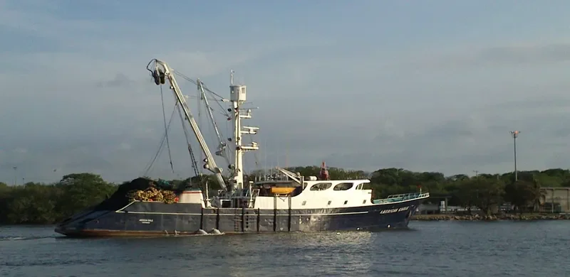 AMERICAN EAGLE General Cargo IMO 7508910 photo 5