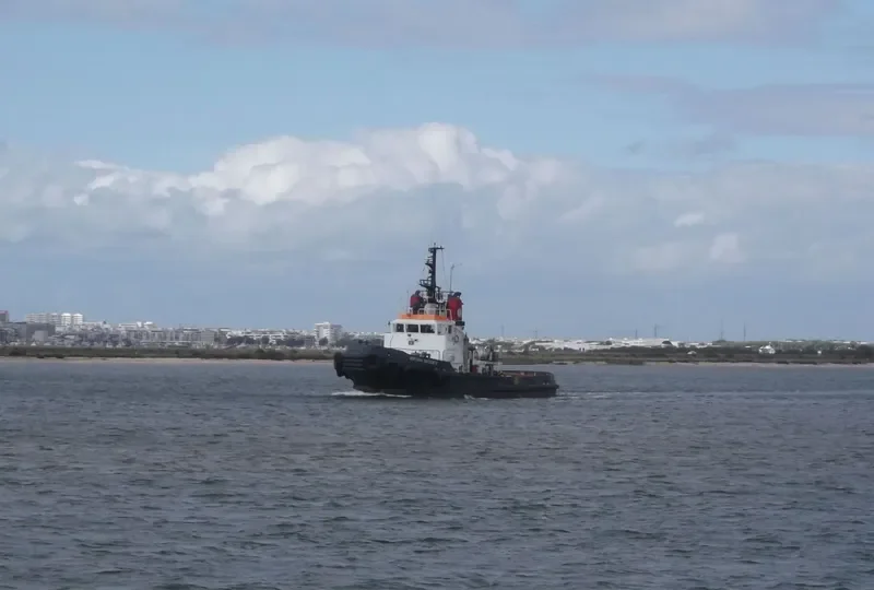 SERTOSA DIECISIETE Tug Boat IMO 7510559 photo 4