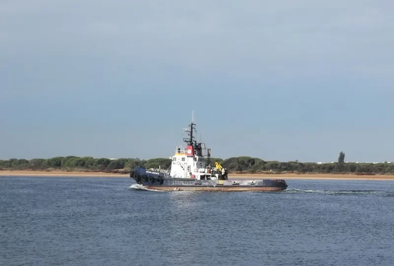 SERTOSA DIECISIETE Tug Boat IMO 7510559 photo 7