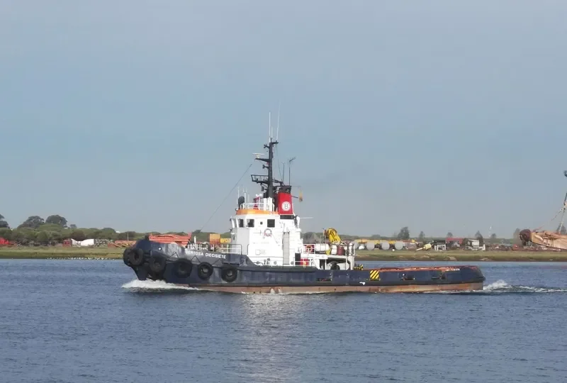SERTOSA DIECISIETE Tug Boat IMO 7510559 photo 8