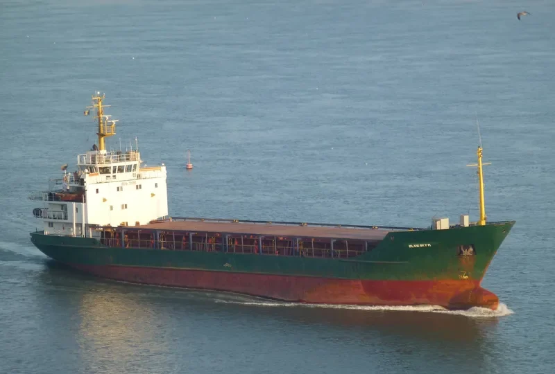 BLUE SKY M General Cargo IMO 7510690 photo 8