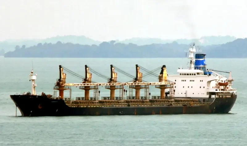 PARSHVA Bulk Carrier IMO 7510987