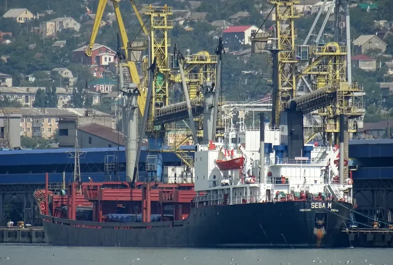 SEBA M Bulk Carrier IMO 7511199