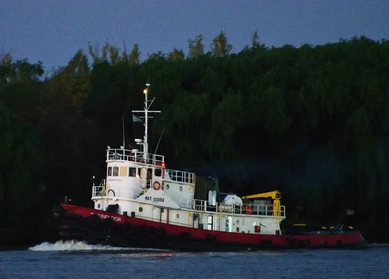 TRIUNFADOR Tug Boat IMO 7511450 photo 10