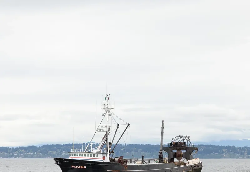 VIKING General Cargo IMO 7511814