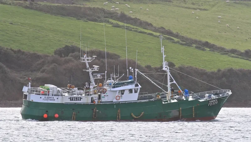 O GENITA Fishing Vessel IMO 7512234 photo 6