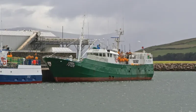 O GENITA Fishing Vessel IMO 7512234 photo 9
