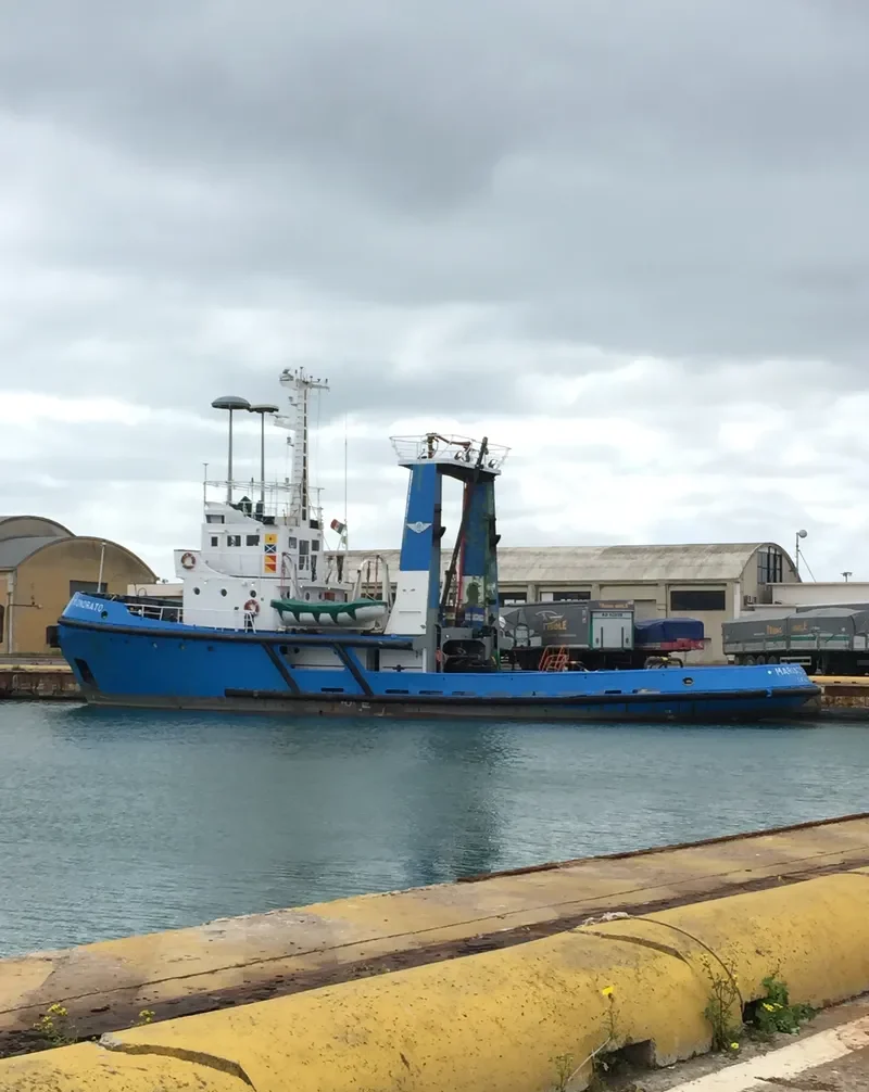 MARIA ONORATO General Cargo IMO 7512519 photo 4