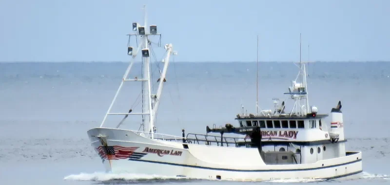 AMERICAN LADY Fishing Vessel IMO 7513006 photo 2