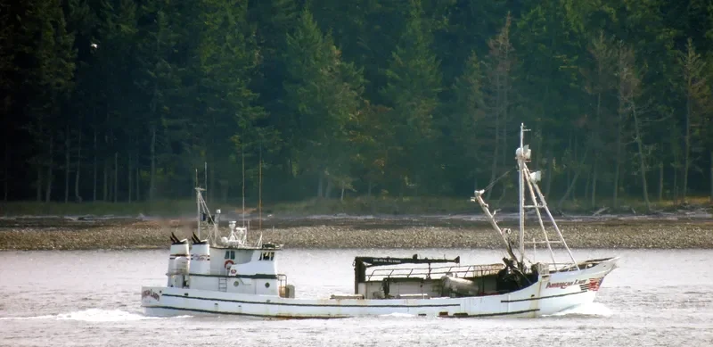 AMERICAN LADY Fishing Vessel IMO 7513006 photo 7