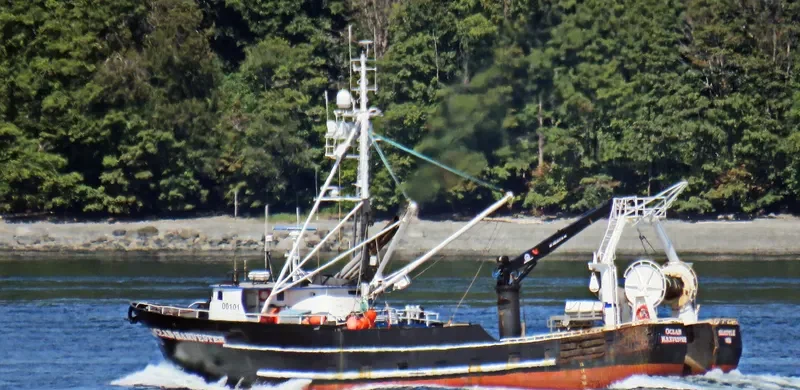 OCEAN HARVESTER Fishing Vessel IMO 7513331 photo 3
