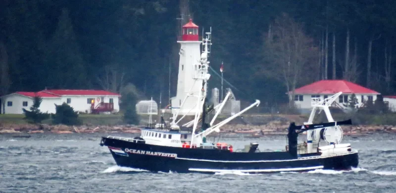 OCEAN HARVESTER Fishing Vessel IMO 7513331 photo 4