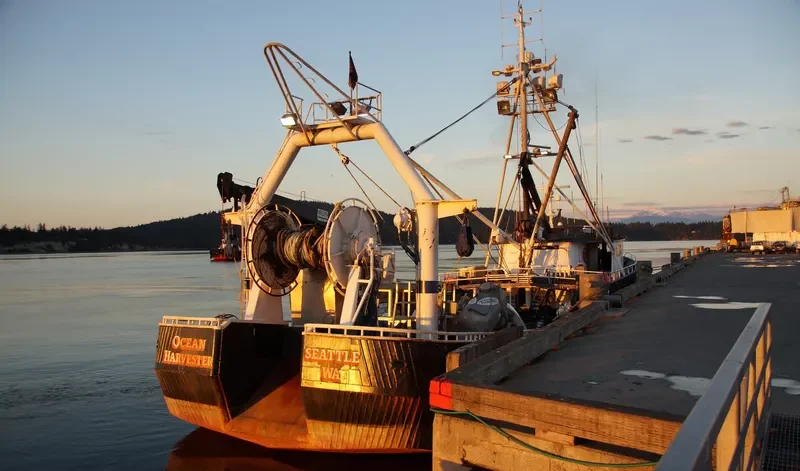 OCEAN HARVESTER Fishing Vessel IMO 7513331 photo 6