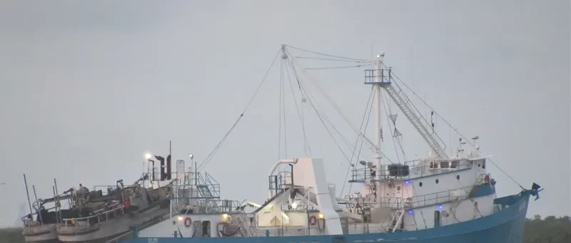SEA BEE General Cargo IMO 7513379