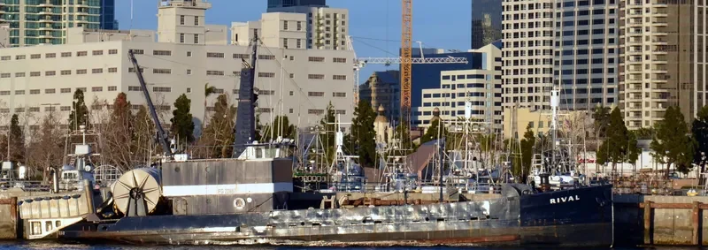 RIVAL Fishing Vessel IMO 7513446