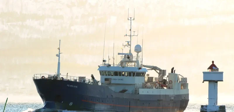 POLYNYA VIKING General Cargo IMO 7514294 photo 4