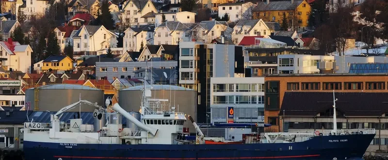 POLYNYA VIKING General Cargo IMO 7514294 photo 7