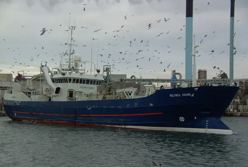 POLYNYA VIKING General Cargo IMO 7514294 photo 9