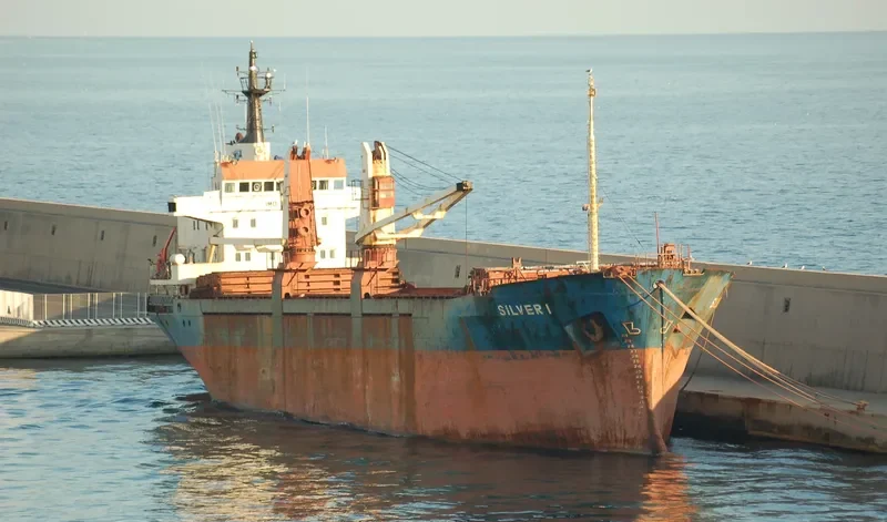 SILVER 1 General Cargo Vessel IMO 7514579 photo 4