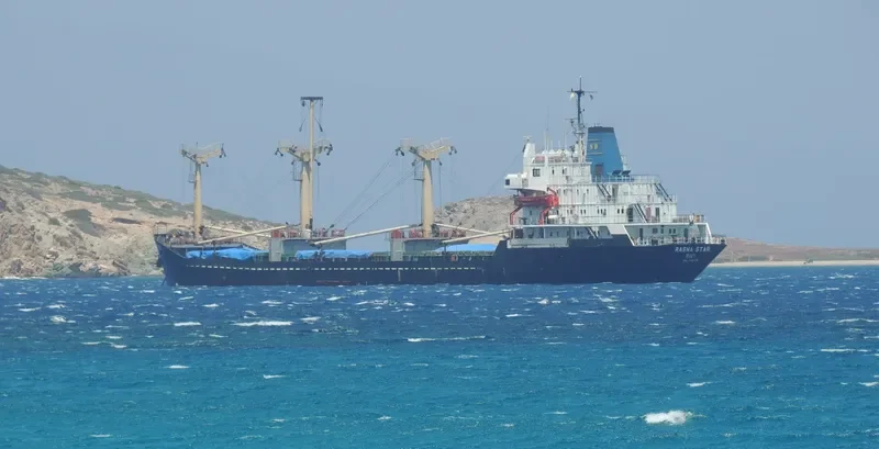 RASHA STAR General Cargo IMO 7516448 photo 3