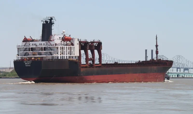 MERIT General Cargo IMO 7516644