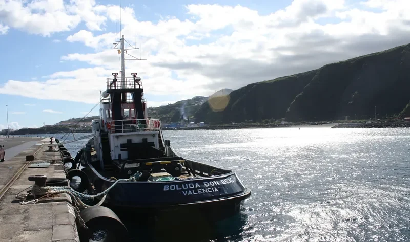 BOLUDA DON BLAS Tug Boat IMO 7516785 photo 8