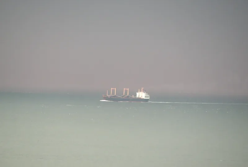 HARRIETTE Bulk Carrier IMO 7516993 photo 6