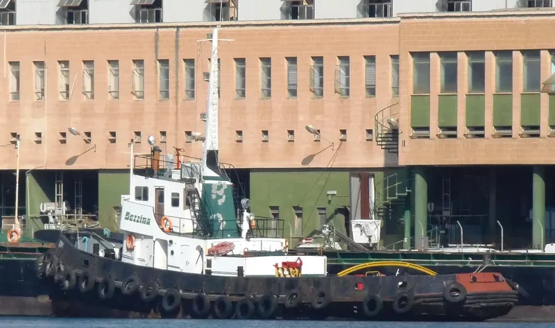 ANNI Tug Boat IMO 7517143