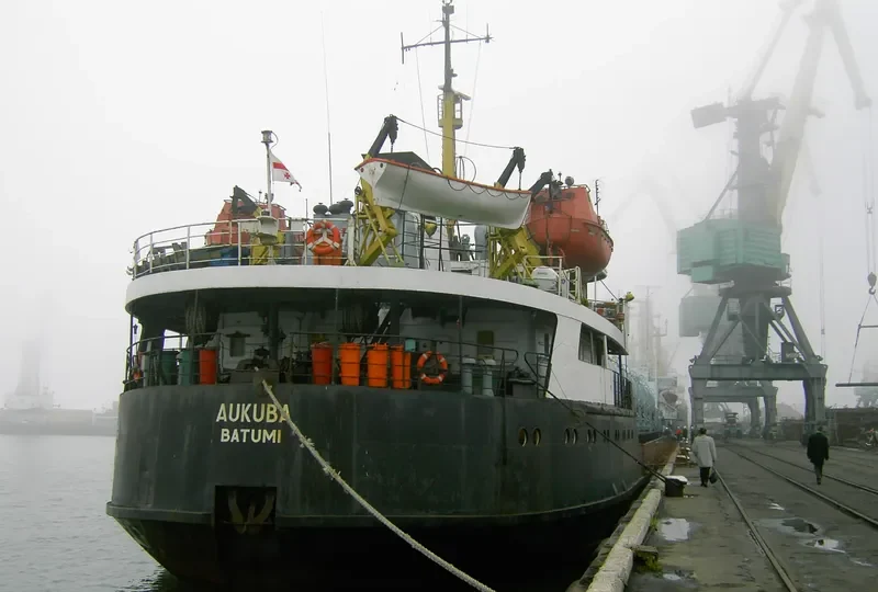 SCOUT General Cargo IMO 7517351