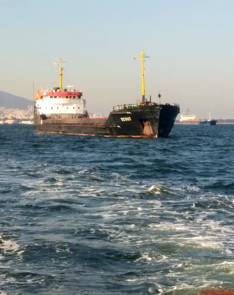 SCOUT General Cargo IMO 7517351 photo 9