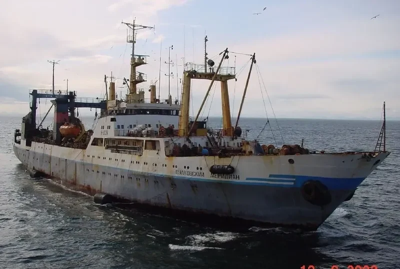 PULKOVSKIY MERIDIAN General Cargo IMO 7518173