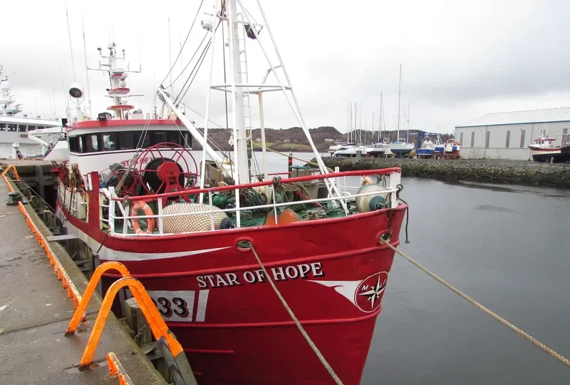 STAR OF HOPE General Cargo IMO 7521091 photo 4
