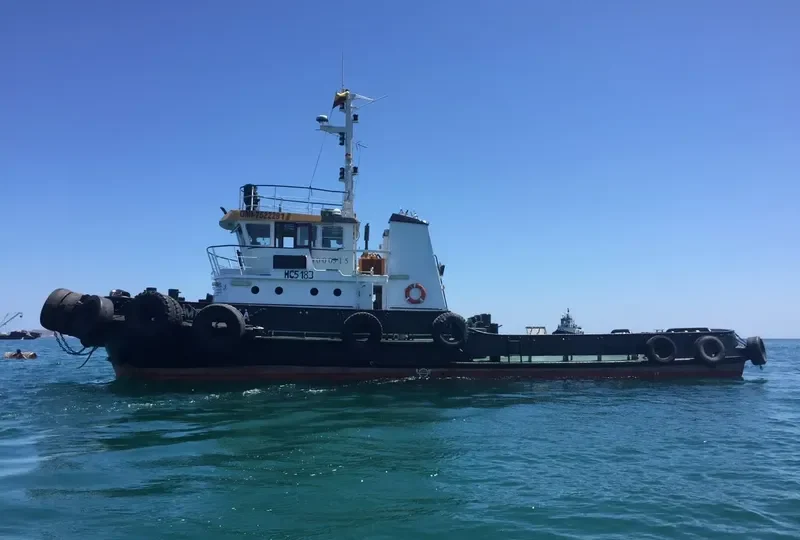 TOMEBAMBA Tug Boat IMO 7522291