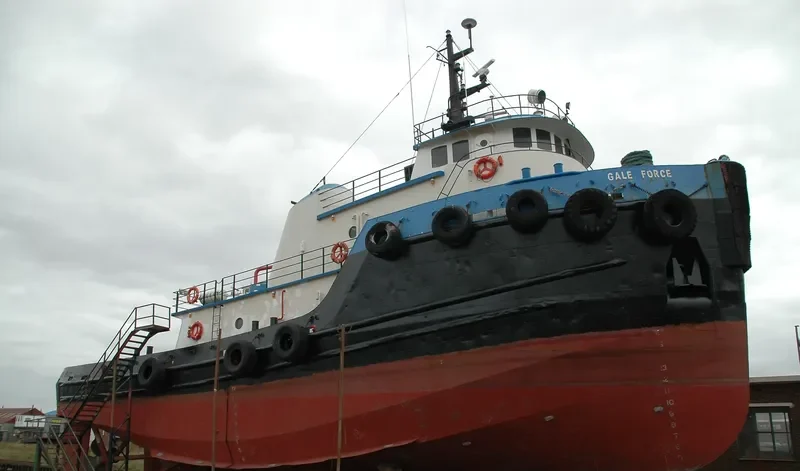 GALE FORCE General Cargo IMO 7523817 photo 8