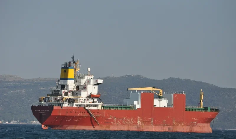 ALIDA GORTHON General Cargo IMO 7524201 photo 5