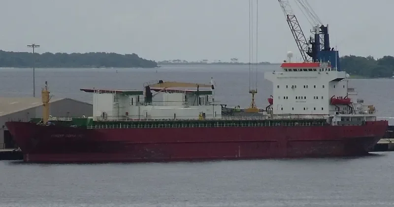 FOREST COSTA RICA General Cargo IMO 7524213