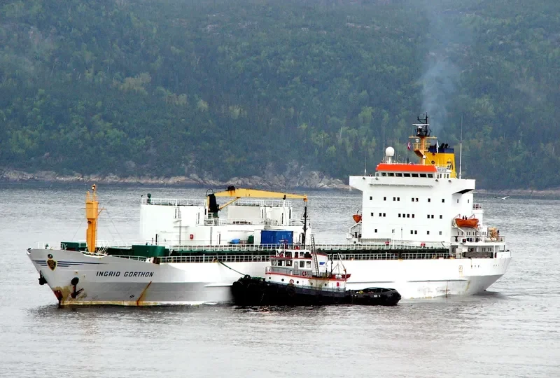 FOREST COSTA RICA General Cargo IMO 7524213 photo 6