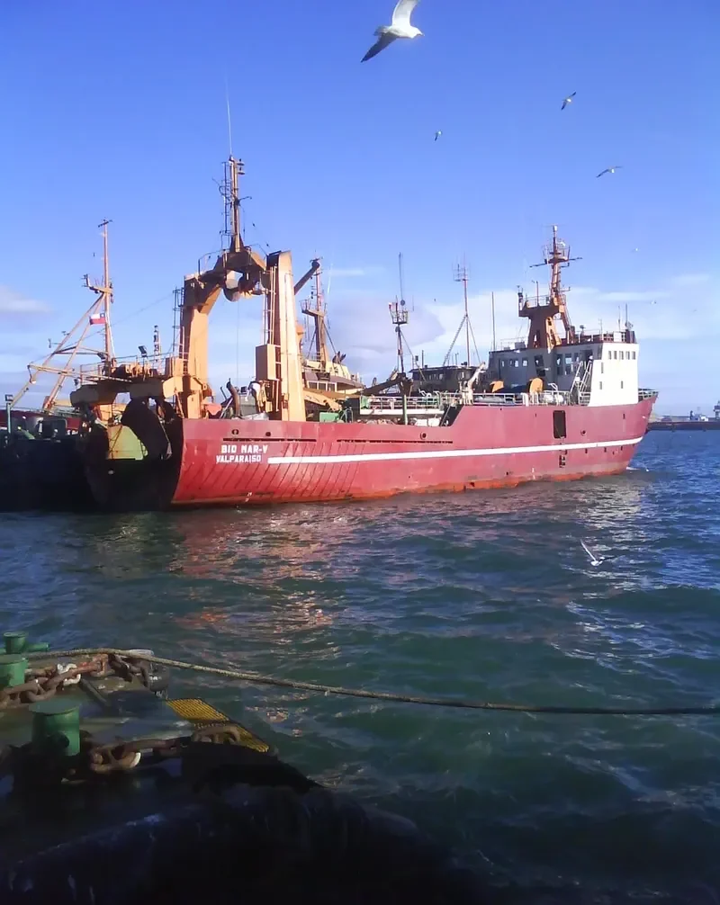 BIO MAR V General Cargo IMO 7525190 photo 8