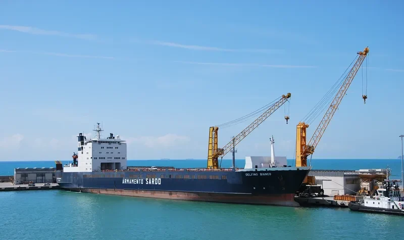 DELFINO BIANCO Ro-Ro IMO 7525310 photo 2