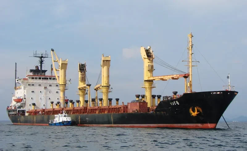 LAILA QUEEN Bulk Carrier IMO 7525865