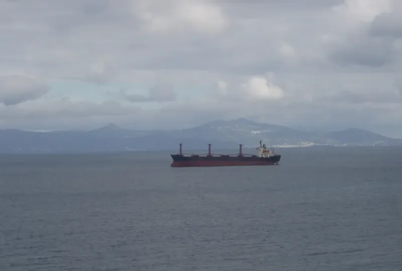 LAILA QUEEN Bulk Carrier IMO 7525865 photo 2