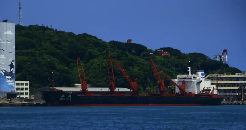 XIN Bulk Carrier IMO 7526168 photo 6