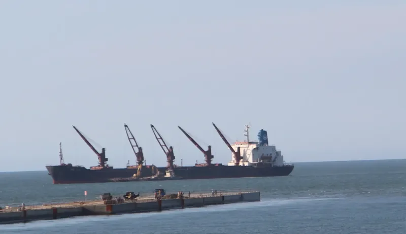 HE FU Bulk Carrier IMO 7526170 photo 4