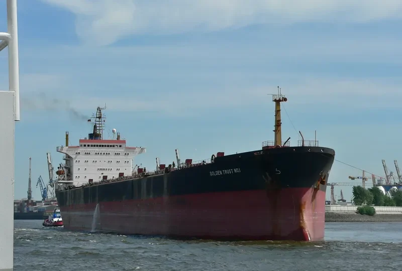 GOLDEN TRUST NO.1 Bulk Carrier IMO 7526558