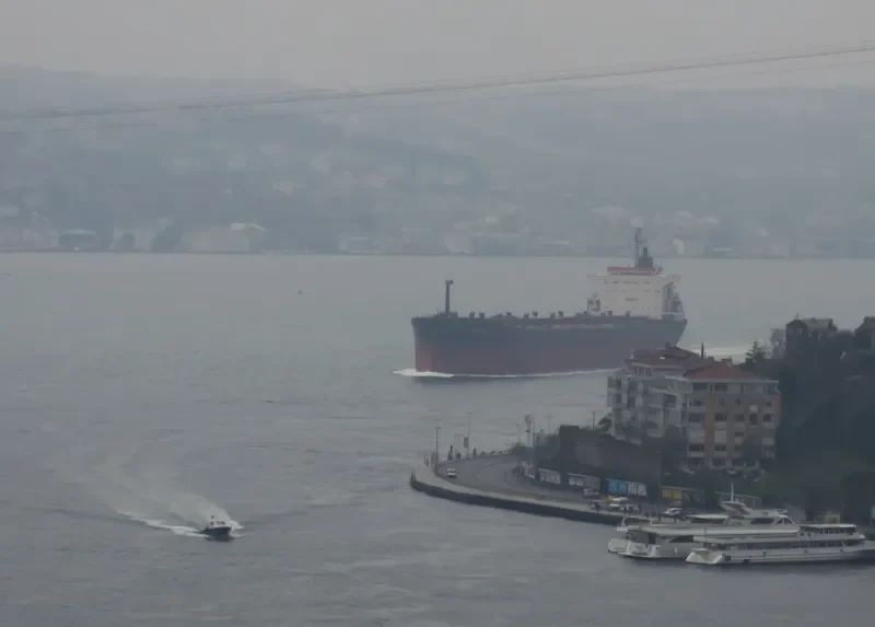 PIONEER EPOS Bulk Carrier IMO 7526584 photo 4