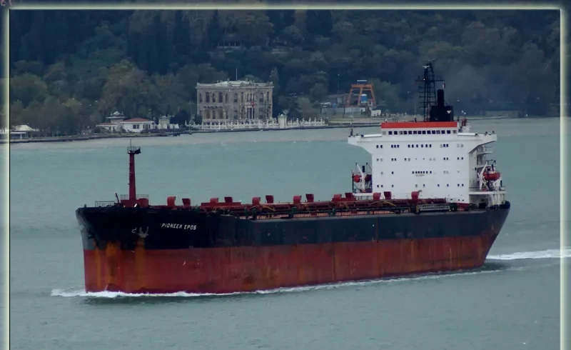 PIONEER EPOS Bulk Carrier IMO 7526584 photo 10